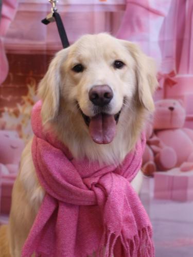 20241225ナナちゃん